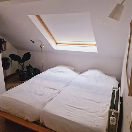 Lightful Architectural House Ghent